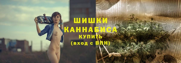 мдпв Бугульма
