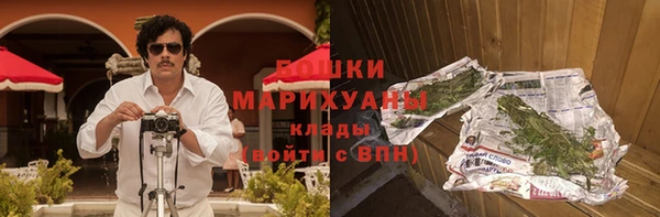 крисы Богородицк