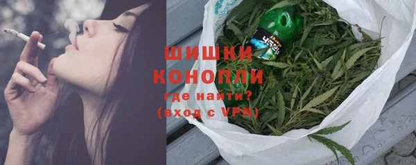 гидра Бронницы
