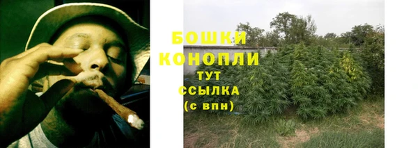 спиды Бородино