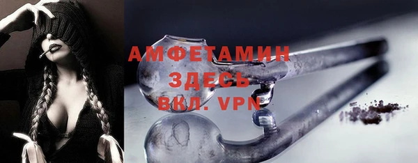 гидра Бронницы