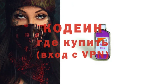спиды Бородино