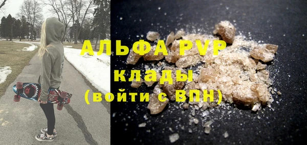 гидра Бронницы