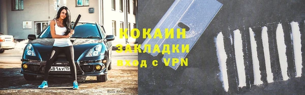 гидра Бронницы